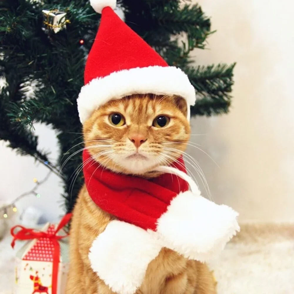 Pet Santa Hat with Scarf – Christmas Costume for Cats, Small Dogs, Rabbit, Red